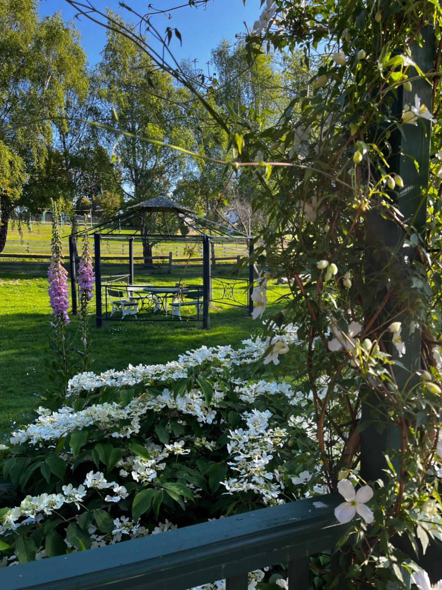 Green Gables B&B Cygnet Exteriér fotografie